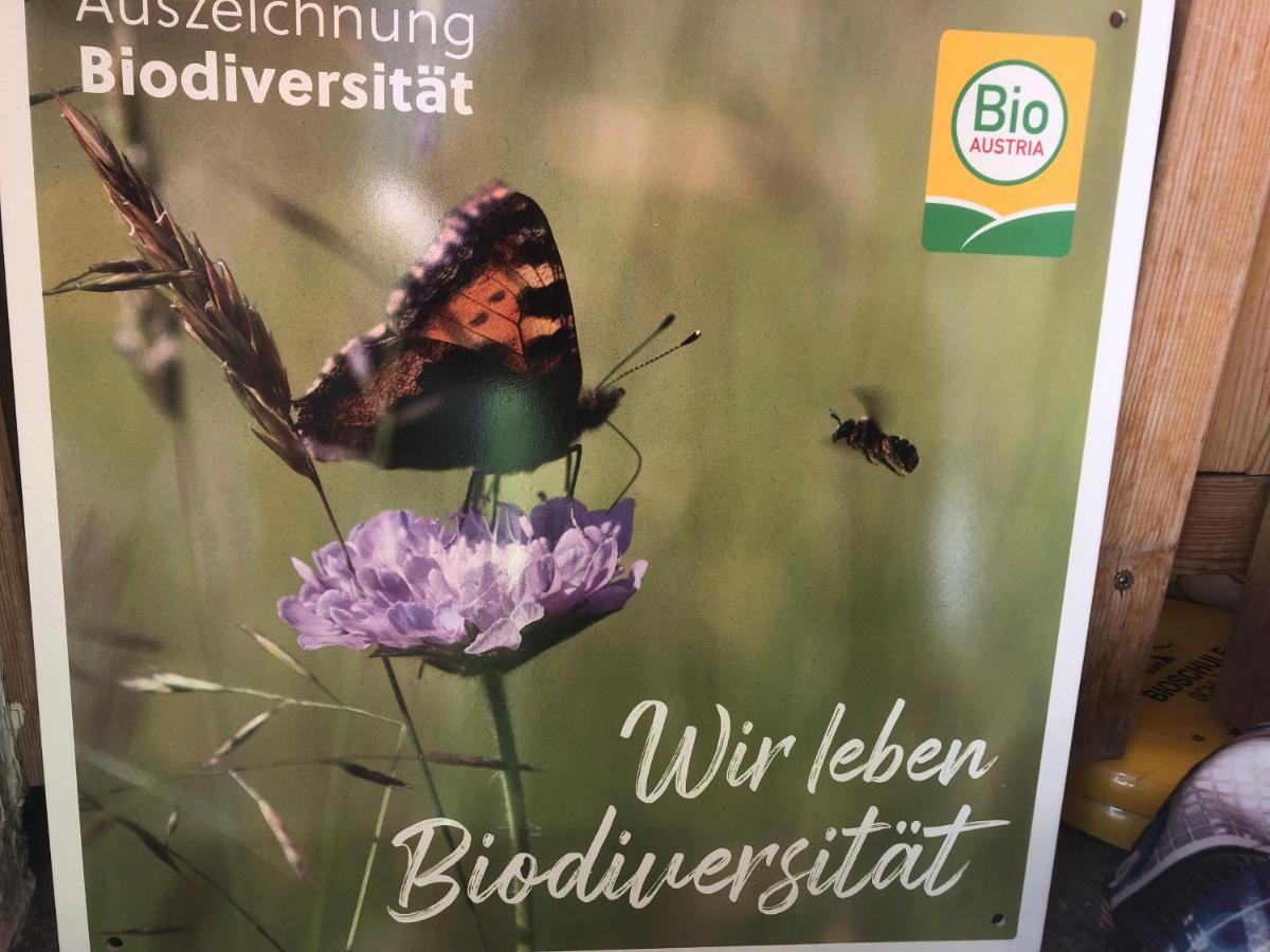 Ferienwohnung Biohof Sauschneider Sankt Margarethen im Lungau Exterior foto