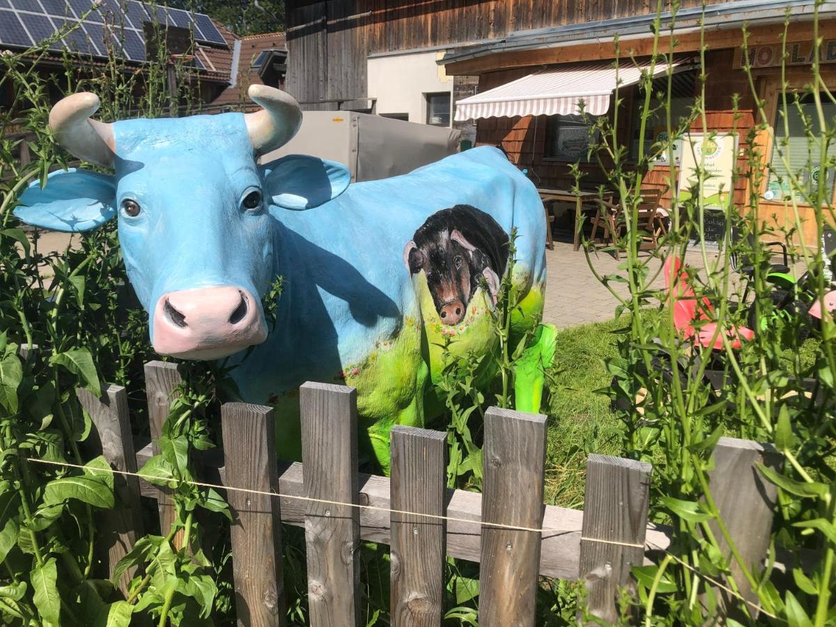 Ferienwohnung Biohof Sauschneider Sankt Margarethen im Lungau Exterior foto